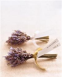 escort display, lavendar