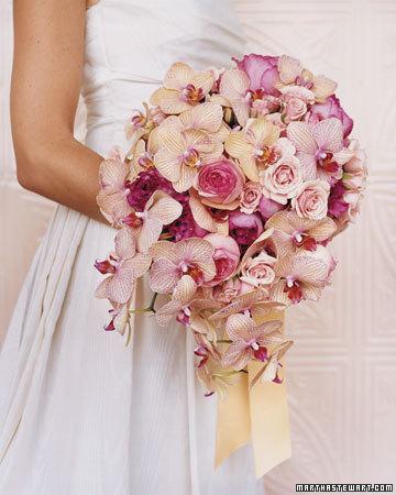 Pink Flowers