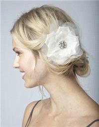 Hair & Beauty. hair, accessory, flower