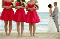 Photography. bridesmaids