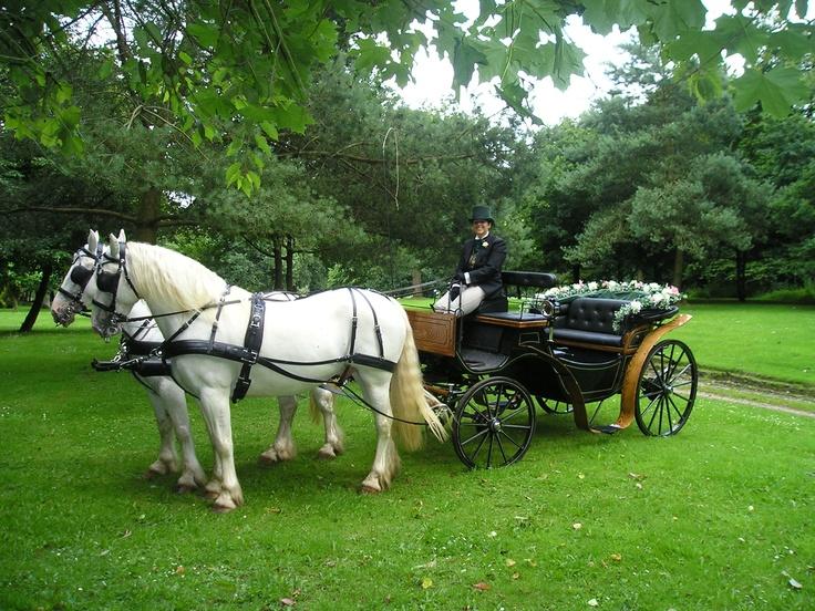 Wedding Cars