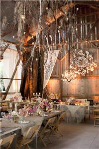 Decor & Event Styling