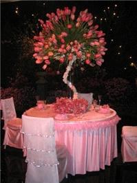 Decor & Event Styling