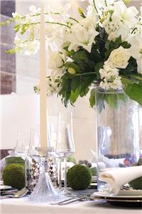 Decor & Event Styling