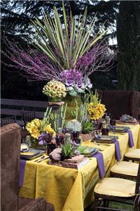 Decor & Event Styling