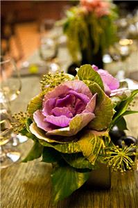 Decor & Event Styling