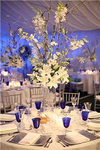 Decor & Event Styling