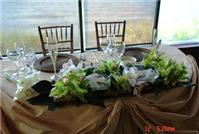 Decor & Event Styling