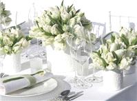 Decor & Event Styling