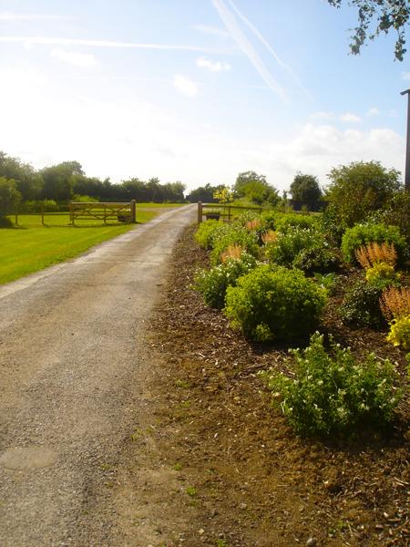 Gardens at Winkworth Farm