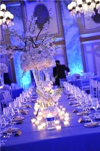 Decor & Event Styling