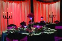 Decor & Event Styling