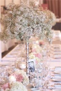 Decor & Event Styling