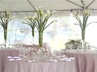 Decor & Event Styling