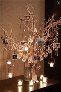 Decor & Event Styling