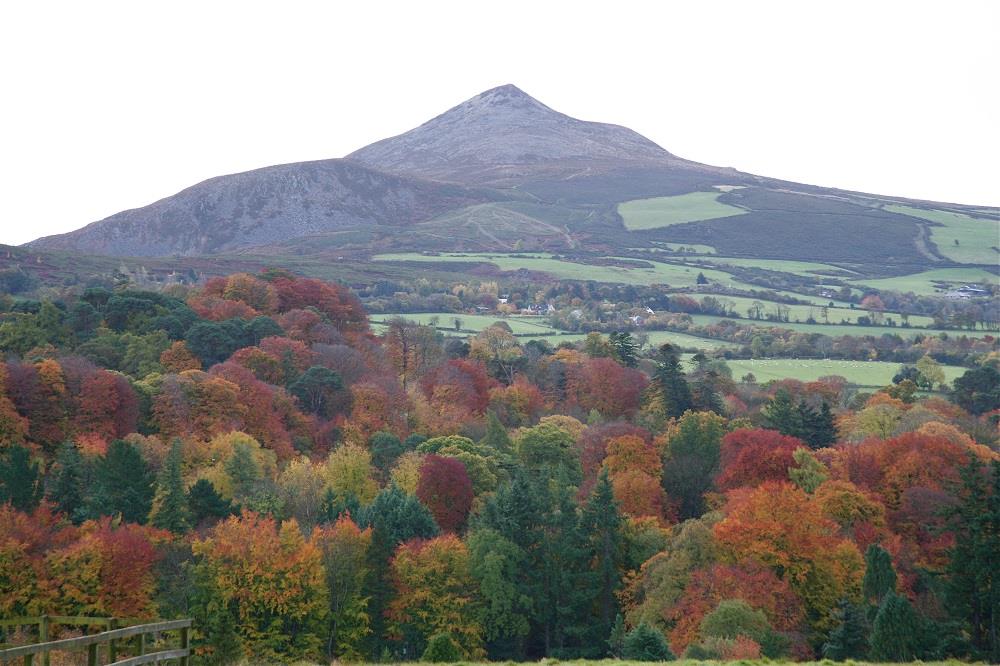 Autumn Weddings