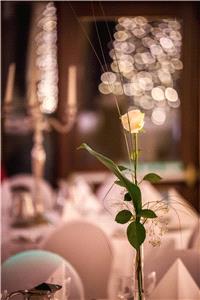 Decor & Event Styling