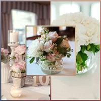 Decor & Event Styling