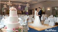 Wedding Venues