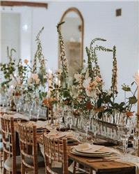 Decor & Event Styling